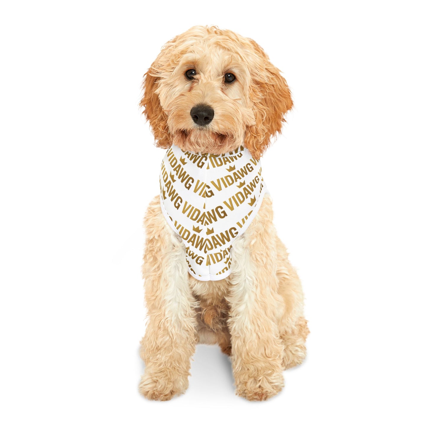 Trendy Pet Hoodie, Cozy Dog Sweatshirt, Fashionable Pet Apparel, Cute Puppy Clothing, Warm Pet Wear
