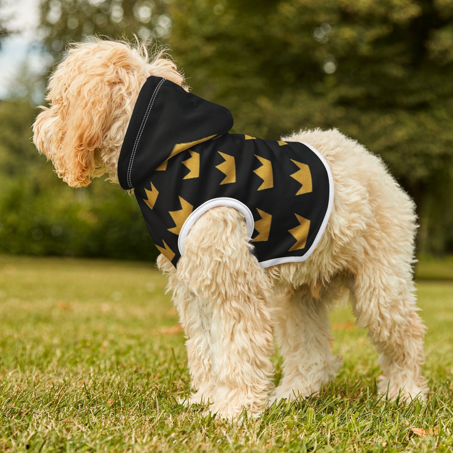 Royal Pet Hoodie with Crown Design, Dog Apparel, Cat Hoodie, Stylish Pet Clothing, Perfect for Pets, Gifts for Pet Lovers