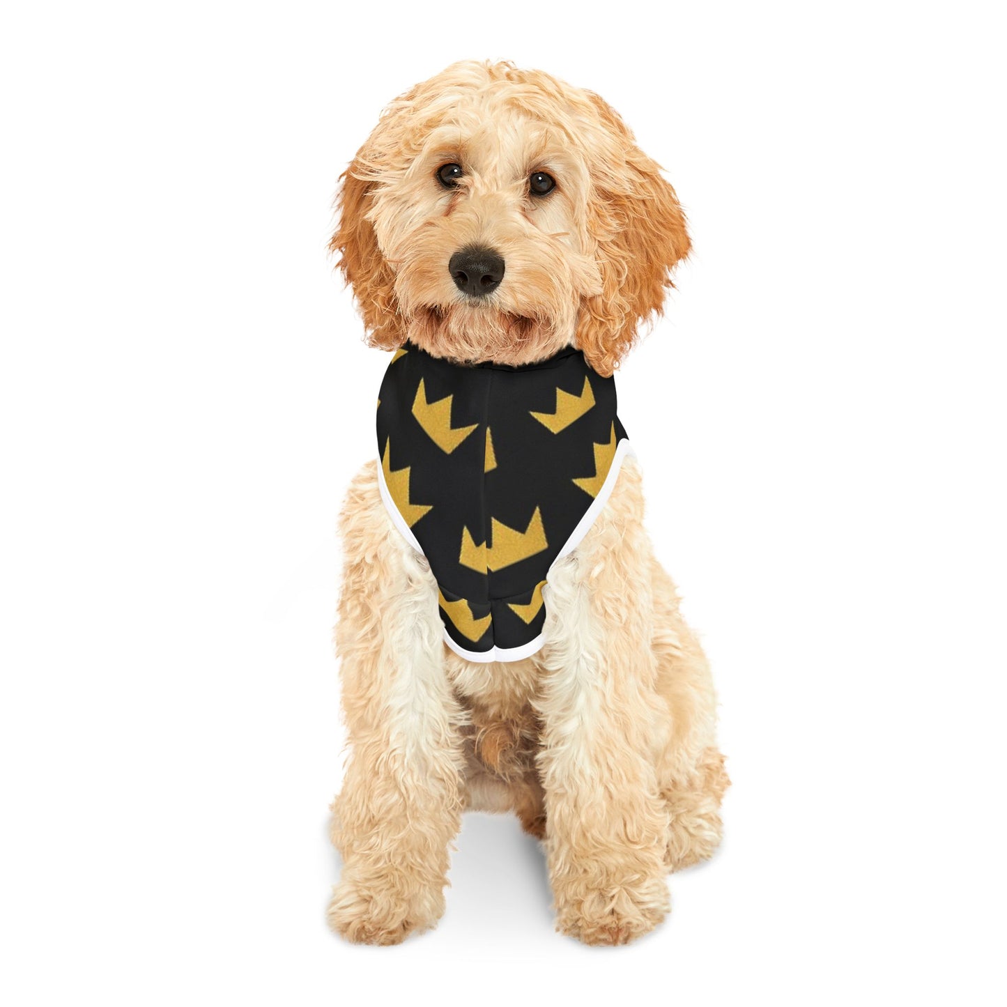 Royal Pet Hoodie with Crown Design, Dog Apparel, Cat Hoodie, Stylish Pet Clothing, Perfect for Pets, Gifts for Pet Lovers